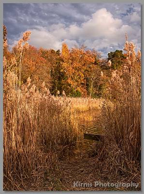 image by Kirms Photography Shark River Hills Foliage-7